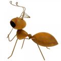 Floristik24 Dekorativní figurka mravenec kovová síť motýlů zahradní dekorace rez 19cm