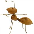 Floristik24 Dekorativní postavička mravenec kovový s hráběmi zahradní dekorace rez 21,5cm
