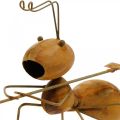 Floristik24 Dekorativní postavička mravenec kovový s hráběmi zahradní dekorace rez 21,5cm