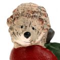 Floristik24 Dekorativní figurka ježek na jablku 7,5 cm keramika
