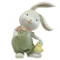 Floristik24 Deko figurky deko králík králík dětský s kuřátky V11cm 2ks