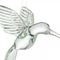 Floristik24 Dekorace kolibřík, skleněná dekorace, rajka, skleněný přívěsek, dekorace ptáček