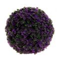 Floristik24 Ozdobná koule ve fialové rostlině koule umělá Ø18cm 1ks