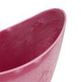 Floristik24 Dekorační miska plastová růžová 20cm x 9cm H11,5cm, 1ks