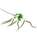 Floristik24 Ozdobná větvička chilli větev umělá rostlina feferonky zelená červená 78cm