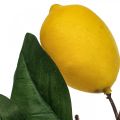Floristik24 Deco Branch Mediterranean Deco Lemons Artificial 30cm