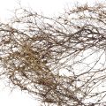 Floristik24 Deco větve Iron Bush větve přírodní dekorace dřevo příroda 250g