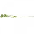 Floristik24 Kopr kvetoucí, umělá rostlina, umělé bylinky zelená, bílá L80cm