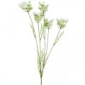 Floristik24 Kopr kvetoucí, umělá rostlina, umělé bylinky zelená, bílá L80cm