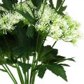 Floristik24 Kopr kvetoucí, umělé bylinky, dekorativní rostlina zelená, bílá 49cm 9ks