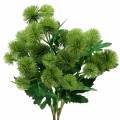 Floristik24 Hedvábný květ bodlák zelený 56cm 3ks