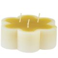 Floristik24 Tříknotová svíčka dekorativní květinová svíčka žlutá bílá Ø11,5cm V4cm