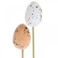 Floristik24 Umělá křepelčí vajíčka na špejli deko vajíčko Velikonoční dekorace 4cm 18ks