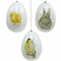 Floristik24 Velikonoční vajíčka na zavěšení se zvířecími motivy kuřátko, ptáček, králík bílek asort 3ks