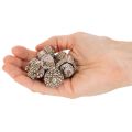 Žaludy, přírodní produkt k dekoraci, bílené, 1-3 cm, 300 g | Floristik24.cz