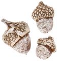 Žaludy, přírodní produkt k dekoraci, bílené, 1-3 cm, 300 g | Floristik24.cz