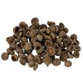 Floristik24 Přírodní žaludy, dekorativní misky na podzim a advent, 2 cm, 300 g