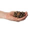 Přírodní žaludy, dekorativní misky na podzim a advent, 2 cm, 300 g | Floristik24.cz
