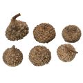 Přírodní žaludy, dekorativní misky na podzim a advent, 2 cm, 300 g | Floristik24.cz