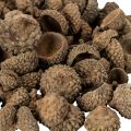 Přírodní žaludy, dekorativní misky na podzim a advent, 2 cm, 300 g | Floristik24.cz