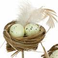 Floristik24 Deco plug ptačí hnízdo, velikonoční dekorace, hnízdo s vejci 23cm 6ks
