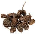 Floristik24 Olšové šišky, přírodní produkt pro dekoraci a tvoření, zlaté, 3 cm, 300 g