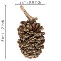 Olšové šišky, přírodní produkt pro dekoraci a tvoření, zlaté, 3 cm, 300 g | Floristik24.cz
