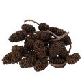 Floristik24 Přírodní olšové šišky, volné, na ozdobu, 3 cm, 300 g, přírodní hnědé.