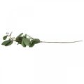 Floristik24 Umělá deko větev eukalyptu s poupaty umělá rostlina 60cm