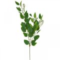 Floristik24 Umělá eukalyptová větev zelená trojitě větvená L100cm