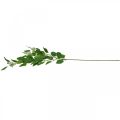 Floristik24 Umělá eukalyptová větev zelená trojitě větvená L100cm