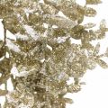 Floristik24 Větev eukalyptu umělá zlatá zasněžená vánoční dekorace eukalyptus 36cm