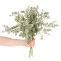 Umělá větvička eukalyptu, dekorativní větvička do vázy a kytice, 49 cm, 4 kusy | Floristik24.cz