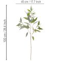 Umělá větvička eukalyptu, přírodní zelená, dekorace, 100 cm | Floristik24.cz
