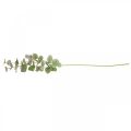 Floristik24 Umělá větev eukalyptu deco zelená rostlina zelená, růžová 75cm