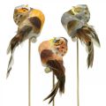 Floristik24 Deco plug sova, květinová dekorace, sova s peříčky V5,5cm 6ks