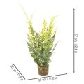 Umělá kapradina s kořenovým balem pro dekoraci domu a kanceláře, 57 cm | Floristik24.cz