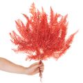 Kapradiny, konzervované sušené květiny, podzimní dekorace, 60 cm, 10 kusů | Floristik24.cz
