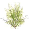 Floristik24 Umělá zelená větvička Ruscus pro květinovou dekoraci, 41 cm