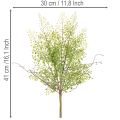 Umělá zelená větvička Ruscus pro květinovou dekoraci, 41 cm | Floristik24.cz