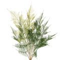 Floristik24 Umělá dekorace z kapradiny, zelená, realistická, 56 cm