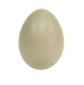 Floristik24 Bažantí vejce přírodní zelené 4,5cm 12ks