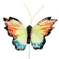 Floristik24 Motýl z peříčka 9cm, 12ks