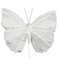 Floristik24 Péřový motýl 8cm s drátem bílý 12ks