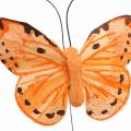 Floristik24 Motýl žlutý oranžový na drátě 7 cm drát 24 kusů