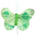 Floristik24 Peříčkový motýlek na drátě barevný 6cm 12ks