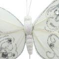Floristik24 Péřový motýl s kamínky, třpyt bílý 10,5cm 4ks