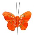 Floristik24 Péřoví motýlci 6cm žlutí, oranžoví 24ks