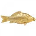 Floristik24 Dekorativní rybí socha ve zlaté barvě na stojánek na rybí plastiku Polyresin malá L18cm