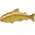 Floristik24 Dekorativní ryba na odložení, plastika ryb polyresin zlatá velká L25cm